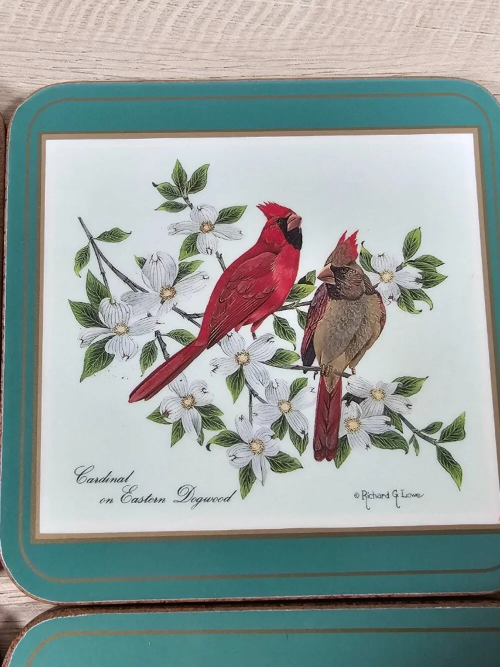 Pimpernel Coasters Set of 6 Birds Cork Back Green Richard G Lowe Made in England
